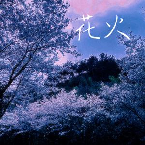 互联网营销小鲤导航
