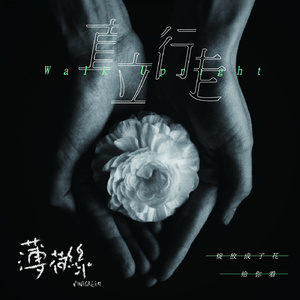 互联网营销小鲤导航
